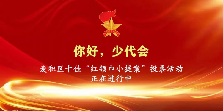 麦积区十佳“红领巾小提案”投票活动