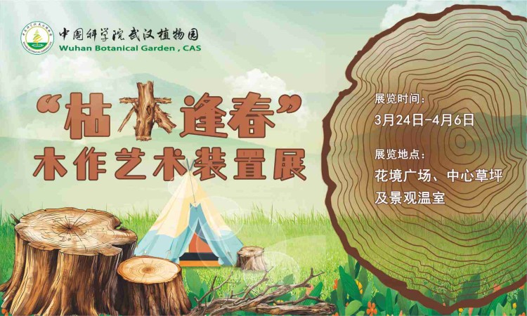 枯木逢春——木作艺术装置展：十大作品评选，海选投票