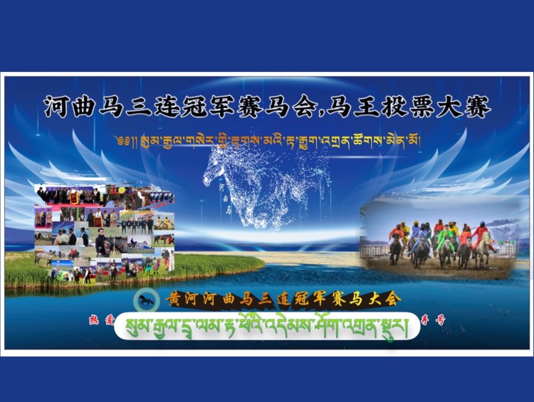 ༄༅། །2024ལོའི་སུམ་རྒྱལ་གསེར་གྱི་རྟགས་མའི་རྟ་རྒྱུག་འགྲན་ཚོགས་ཆེན་མོའི་དྲྭ་ལམ་རྟ་ཕོའི་འདེམས་ཤོག་འགྲན་ས