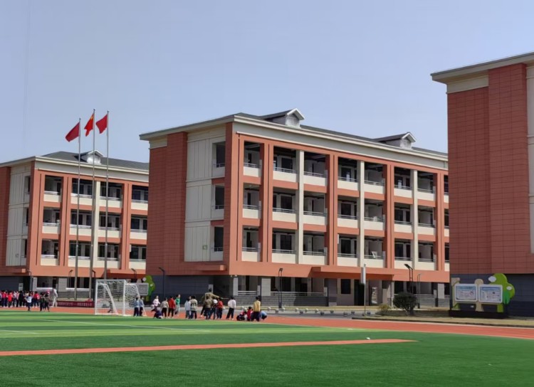 泰安小学吉祥物设计投票开始啦！